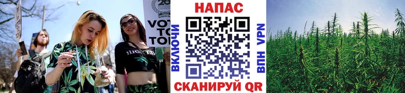 Купить где  Бирюч  Канабис конопля 